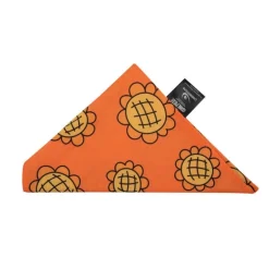 Bandana y Berry Coins de One Piece