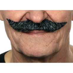 Bigote de Inglés negro canoso