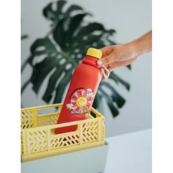 Botella Metalica 500 ml Smiley Quirky Comics