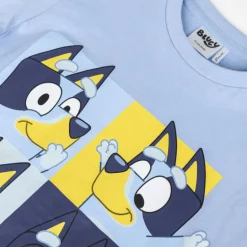 CAMISETA CORTA SINGLE JERSEY BLUEY