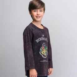 Camiseta infantil manga larga Harry Potter