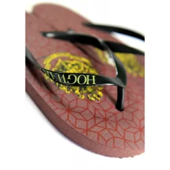 Chanclas niño Harry Potter Hogwarts