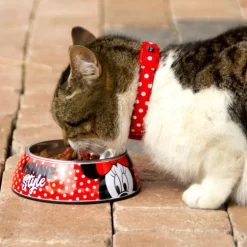 Comedero para mascotas Minnie Mouse