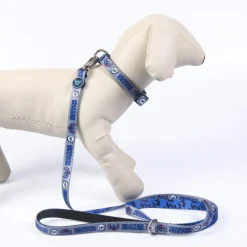 Correa para perros Stitch