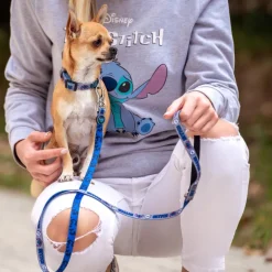 Correa para perros Stitch