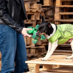 Cuerda dental para perros Forma Hulk