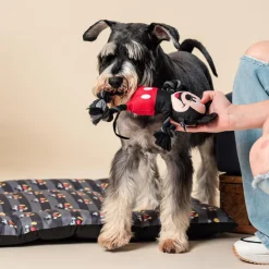 Cuerda dental para perros Mickey Mouse Disney