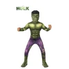 Disfraz de Hulk Clásico para niño