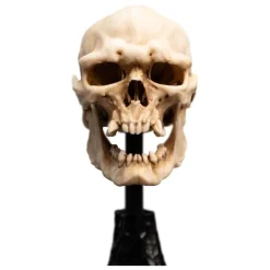 Estatua Calavera de Orco de Mordor 14 cm El Señor de los Anillos