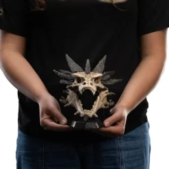 Estatua Skull of Smaug 22 cm de El Señor de los Anillos