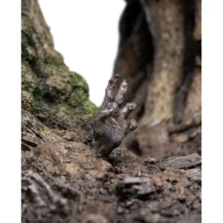 Figura 1/6 Leaflock The Ent 76 Cm El Señor De Los Anillos