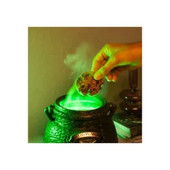 Galletero cerámica Caldero Chorreante Harry Potter