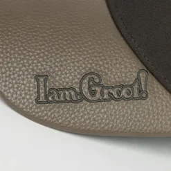 Gorra Visera Curva Adulto Guardians of the Galaxy Groot