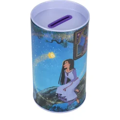 Hucha Asha Wish Disney