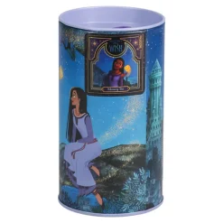 Hucha Asha Wish Disney