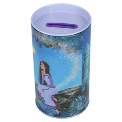 Hucha Asha Wish Disney