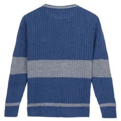 Jersey Punto Harry Potter Ravenclaw
