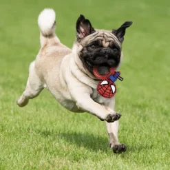 Mordedor Aro para perro Spiderman Marvel