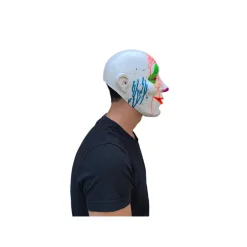 Máscara Gang Tiger Neon Talla Única