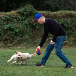 Peluche para perro Pelota Spiderman