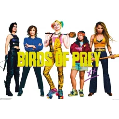 Póster Birds of Prey DC Comics