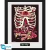 Póster Enmarcado Rick and Morty Anatomy Park 30x40cm