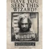 Póster Wanted Sirius Black Harry Potter