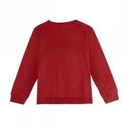 Sudadera Niños Hot Wheels 60% Algodón 3-8 Años